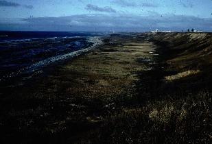 Middleton Island uplift from the 1964 earthquake